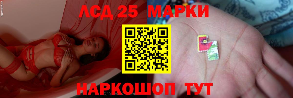 Бердск  ЛСД экстази ecstasy  Вход с VPN  ЛСД экстази ecstasy 