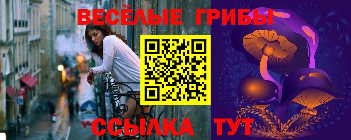 Псилоцибиновые грибы мухоморы  Вход с VPN  Бердск  Галлюциногенные грибы ЛСД 